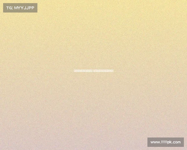 美国队勇夺桥牌世界杯冠军 展现卓越团队协作与战略智慧