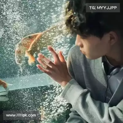 何凡菁